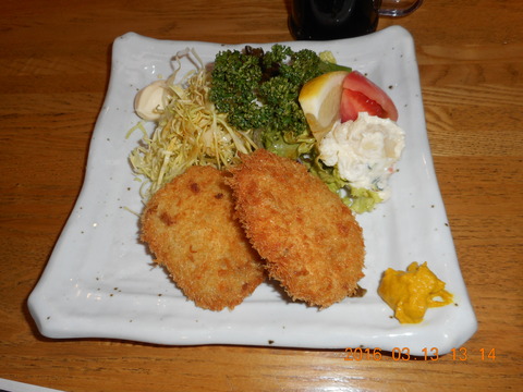 DSCN0913