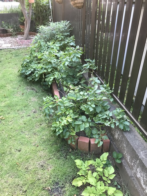 59013B70-E84B-4231-96C4-5AD1E631413A