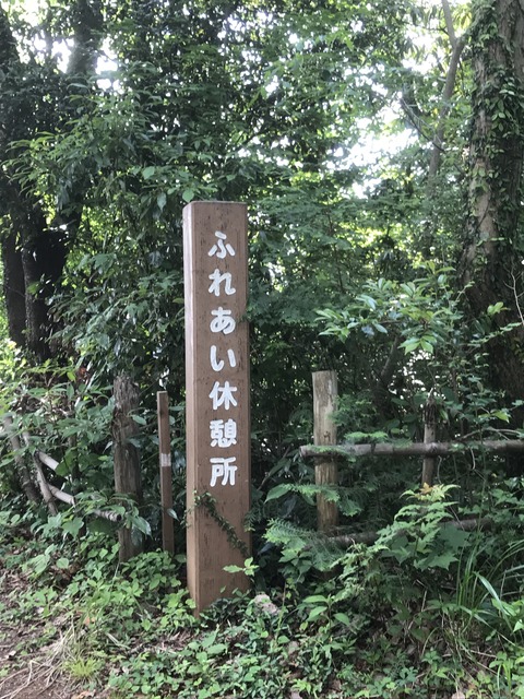 83585C37-CAFC-47D6-B79C-C6FE4629FC5F