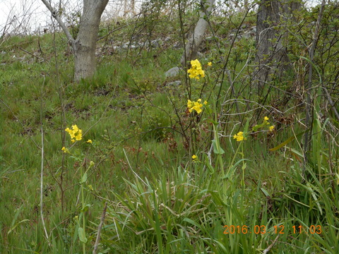 DSCN0855