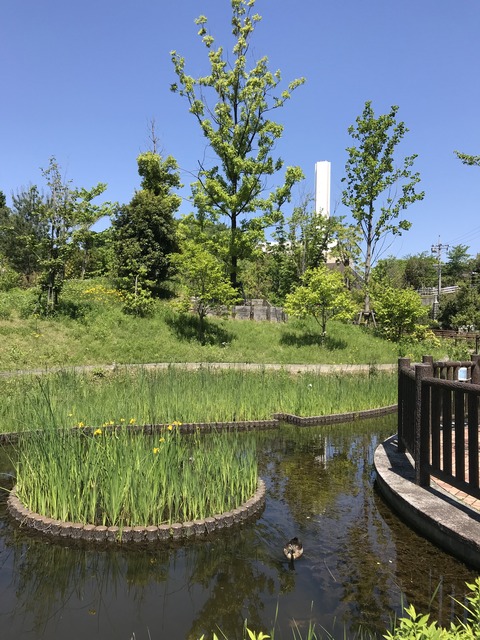 A99DB307-C7D1-48FC-8E98-78C9071A90CE