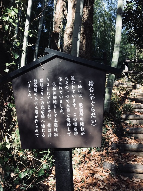 8424F31C-DFF3-470C-8CFF-ACDF8BCE3CDE