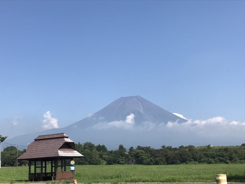 ADB32A17-D6EE-4E8A-802B-4BCB4AC2D5BF