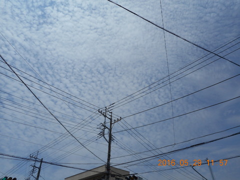 DSCN1263