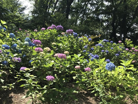 657C2E64-0624-4EEF-9B72-D89C2C1EB2AD