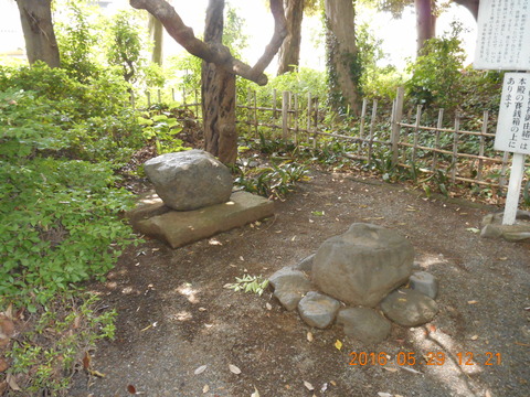 DSCN1270