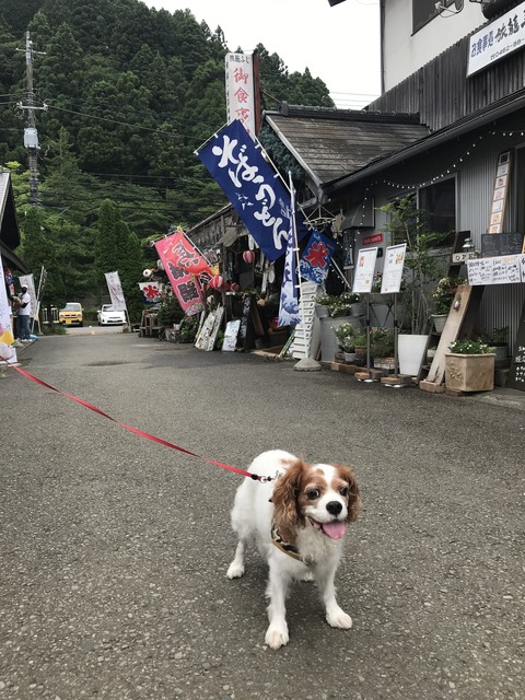 90503F12-D26D-46BF-8A58-2F368D579B31