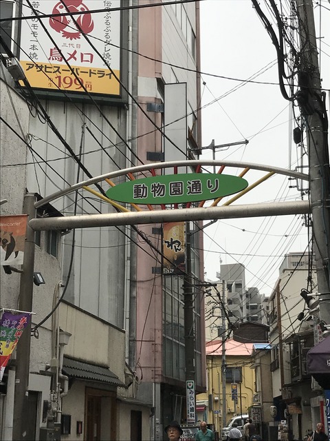 8A8DDBDB-99E1-4A03-AE63-022421346514