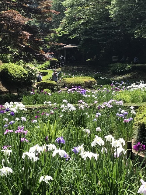 240F752F-5C71-45EB-A334-95A5565B1AFB