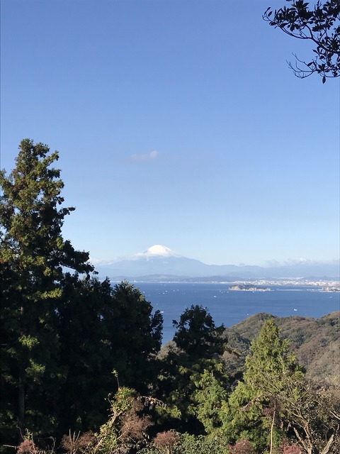 53B0494A-4DA8-4CA9-9A8C-10CECDA10B87