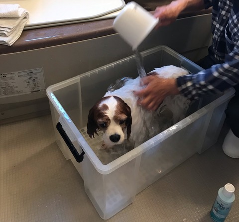 7E9B50E1-5CAD-459E-BD58-40F6A73DD477