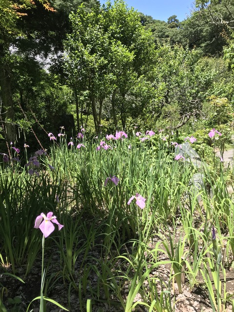 7C904877-23E4-4B3E-934C-8E3E14B51D1B