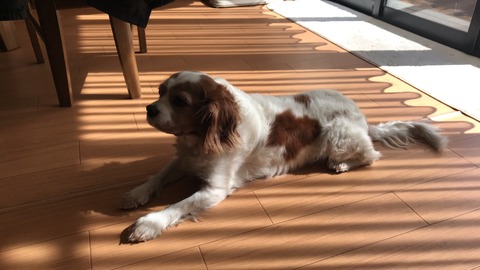 74E537E8-73A9-4C42-ABC0-0EFFFB38DD32