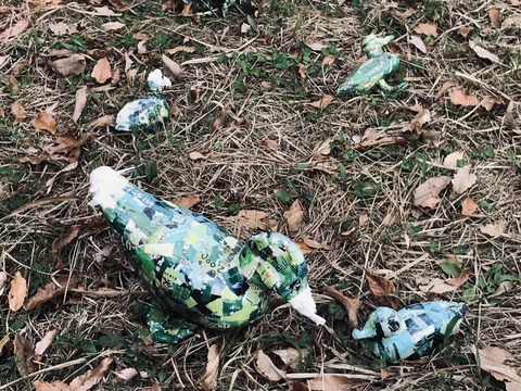 2CBD5587-5D9B-4F0C-8F47-10B60A44F439