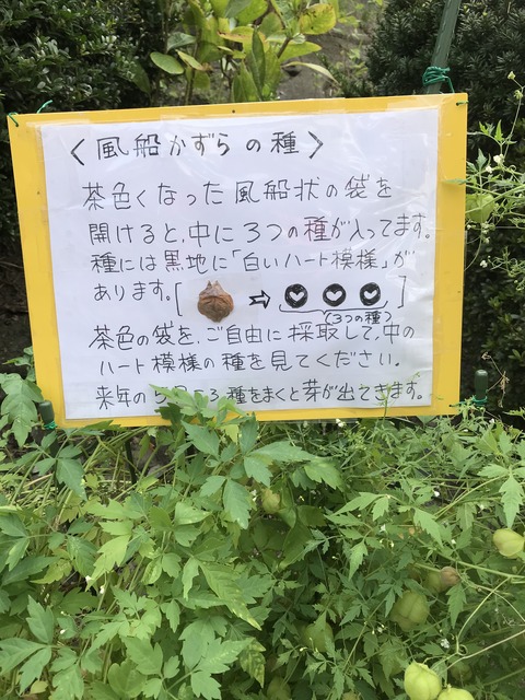 F2CE9B0E-EF01-451D-9BC6-D21D40054CAE