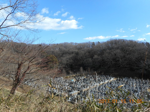 15早野から寺家 020