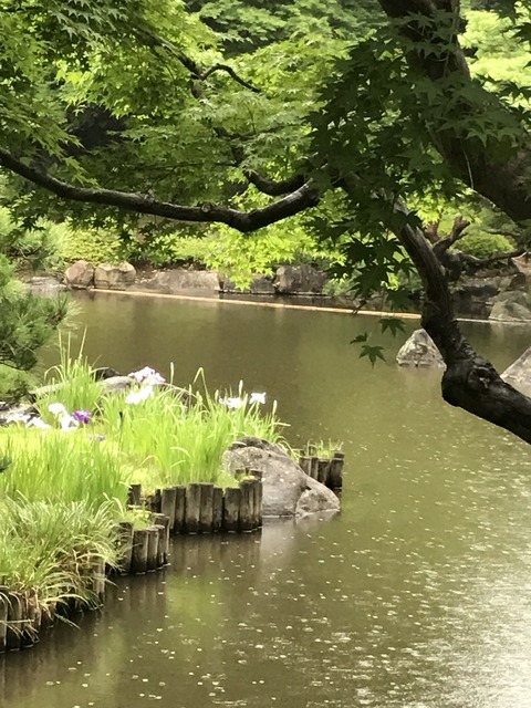 597C2166-B6F9-45FA-9FFC-1BDF66027F2F