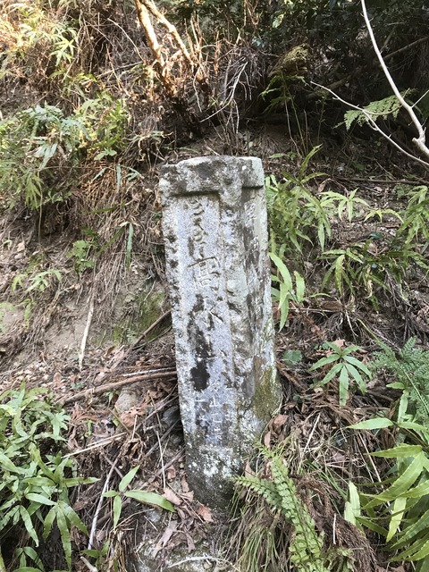 45F9EFA5-37C7-4D31-8199-A0470D41753F