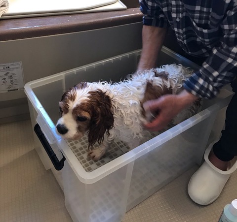 E8C16CF5-E660-4A90-AF29-FCA3637C30C7