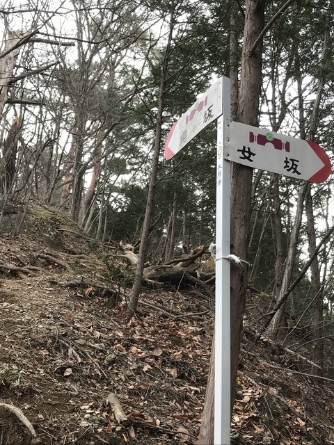 F093829C-12D9-46FB-92BB-8C68168FEA45