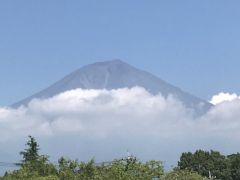 BF6D7609-7174-49BB-84DD-6C3CAA5D9C32