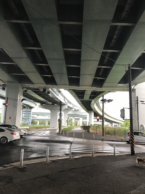 43D9BBAE-CF8B-4AB8-9214-4C3EF8DC6758