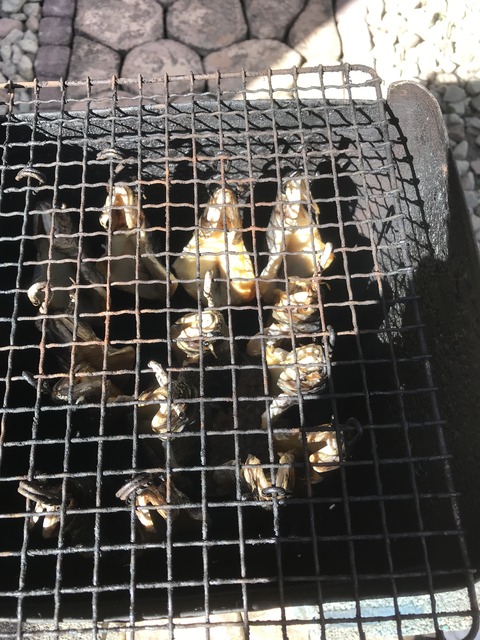 3F9BA905-522D-4A19-8FB7-F5469DCE311F