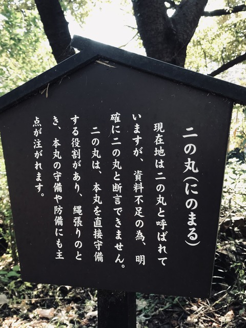 D13960AD-EA04-4E00-8F39-E1881F3F3F4C