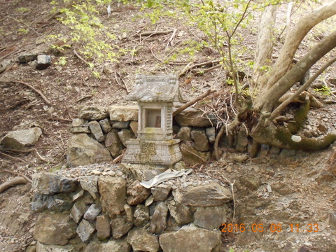 DSCN1104