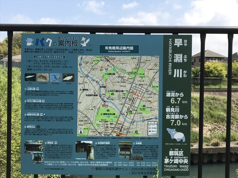 08B6AA0A-E507-4A5F-B2BD-C3BE57A6E91B