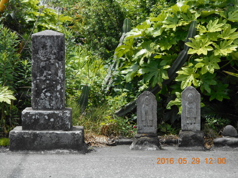 DSCN1264