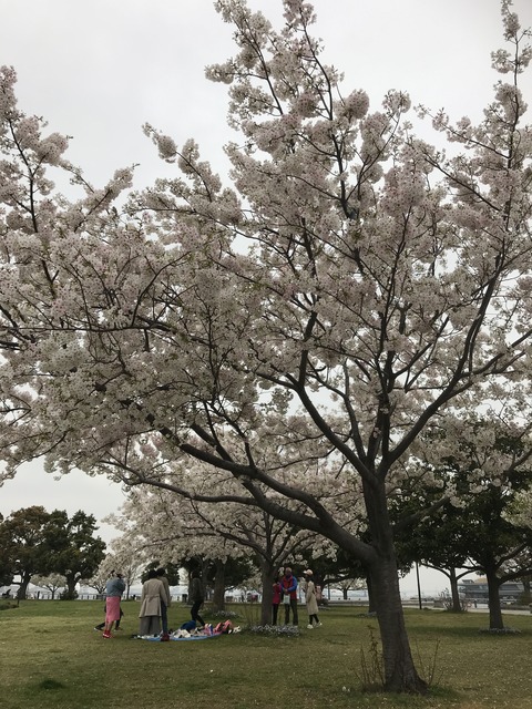 F552CB6F-D6C2-474C-A405-50E8C9425DEA