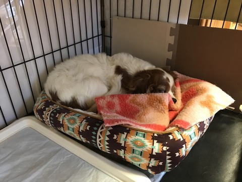 8AD14F8E-F7E7-490F-9183-0CCD1AC665C3