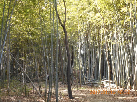 15早野から寺家 009