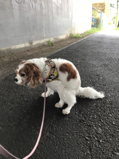 A0F18C45-D374-4581-BA52-9029FC7E92DE