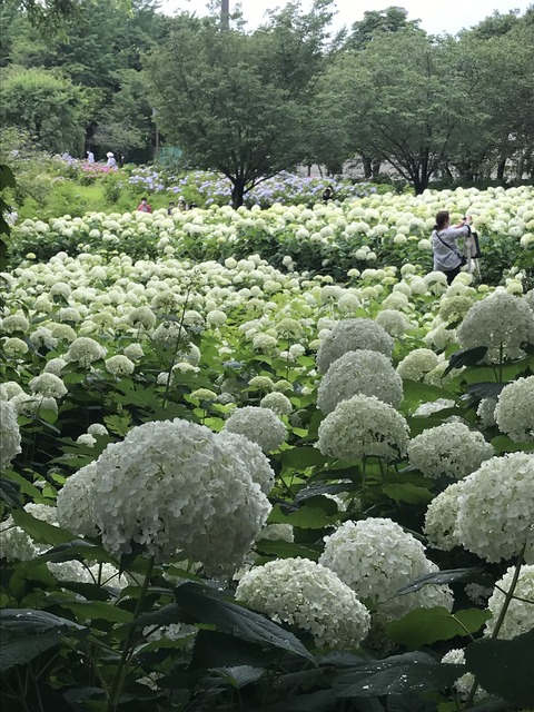 BF29B9D1-74EE-4FC4-ADAE-33FE0B036B93