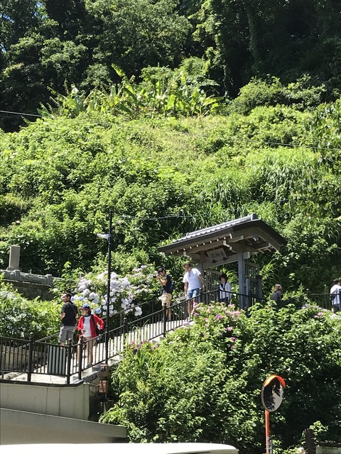 26D196E3-4A7D-4B12-8643-4CBA0A3C8CEF