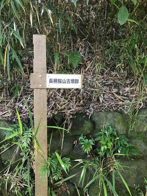 8D9EA29C-F7E6-4199-9ADC-60EAE6C859D6