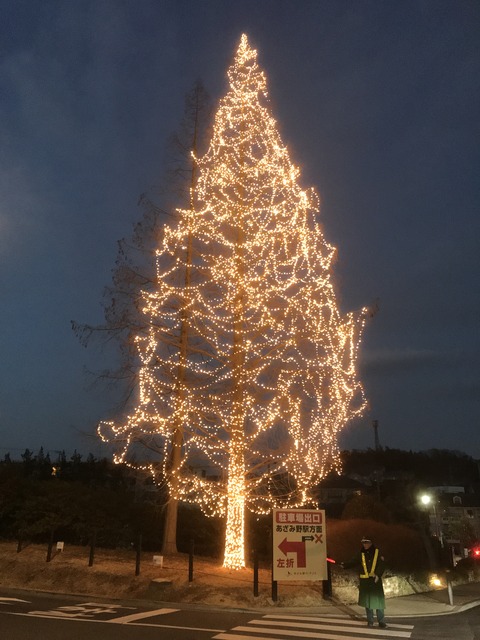 B154487D-D3A7-4D1E-8C18-E597FE241ABB