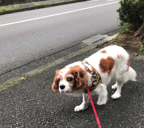 C35DDF3D-18FC-42D2-8493-BB3F094B3162