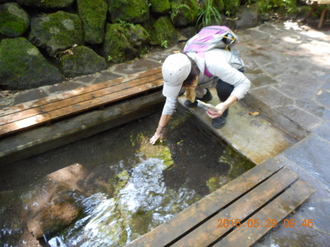 DSCN1226