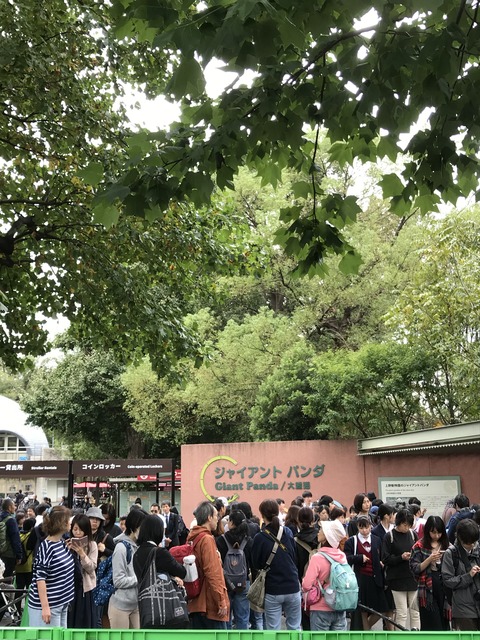 3E5BB381-BD22-418C-AB99-4098ED9CB4E3