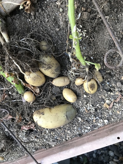 138BDF0F-71EC-49C1-9D87-31FDC9962E6E