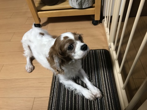 24AAC5B8-A046-4130-8C6B-FABDA4175D47