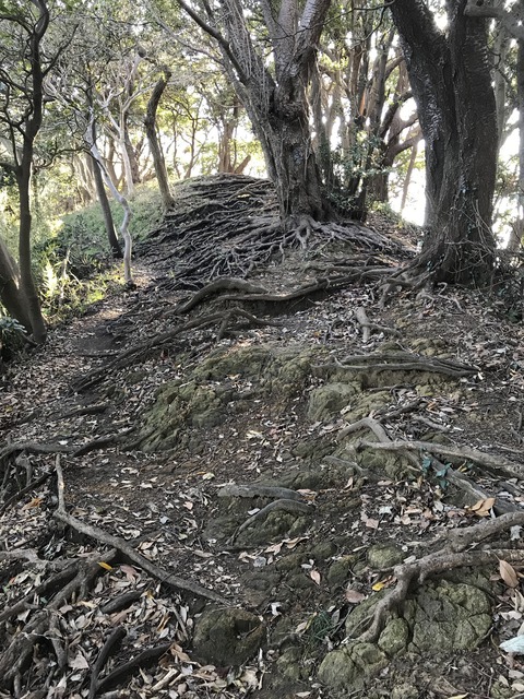 DB31E2D3-8F14-4803-9E57-AD0ABE261776