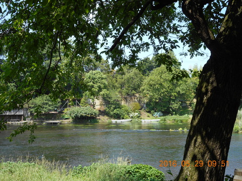 DSCN1232