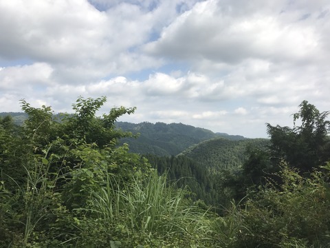 7402B708-9DB3-4569-88BC-B20A41DAE634