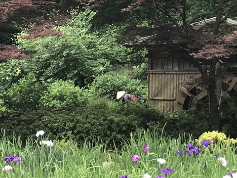 5A5532A0-2BB0-4C56-8E22-802F4E9C3743