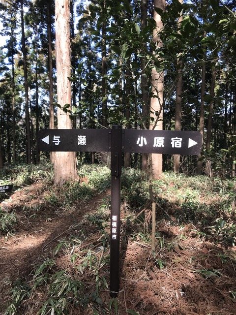 DF164947-18C0-4807-B8DD-D23440B9589C