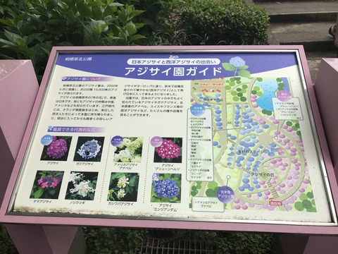 5B6DC726-0EBC-48D2-96F4-924674216BA8